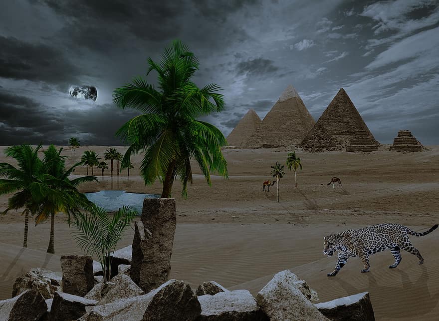pirámide, Egipto, camello, Desierto, rocas, palmera, lago, Luna llena, leopardo, animales, paisaje