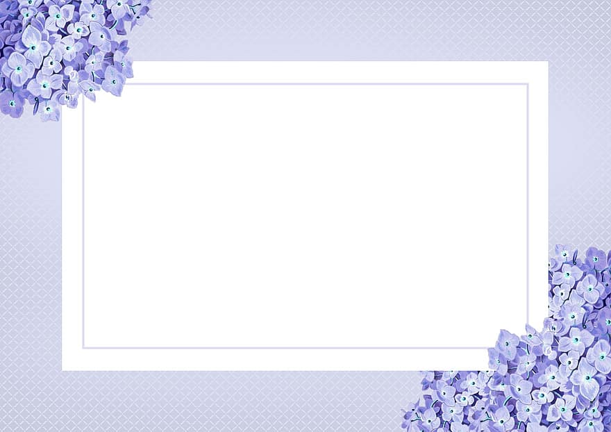 Background, Gift Voucher, Coupon, Voucher, Invitation Card, Certificate, Wish, Letter, View, Greeting, Purple