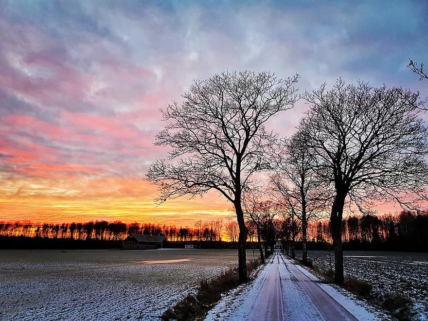Дорога, зима, снег, деревья, Восход, поле, проспект, утро, пейзаж, голые деревья, пустой
