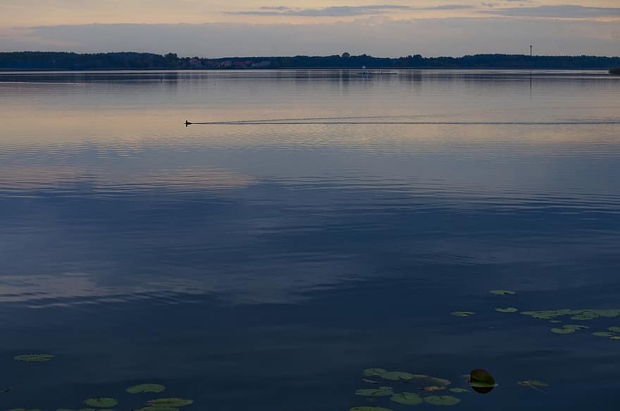 lake, dawn, sunrise, water, reflection, summer, blue, landscape, sunset, nautical vessel, tranquil scene