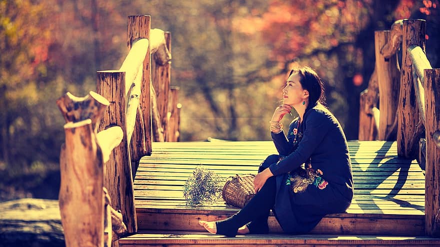 женщина, осень, мост, женщины, один человек, сидящий, образ жизни, дерево, люди, молодой человек, для взрослых