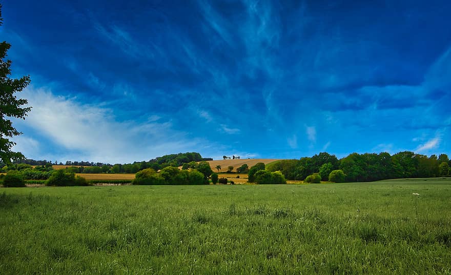 Field, Summer, Meadow, Landscape, Grass, Rural, Sky, Clouds, Hill, Beautiful, Relaxation