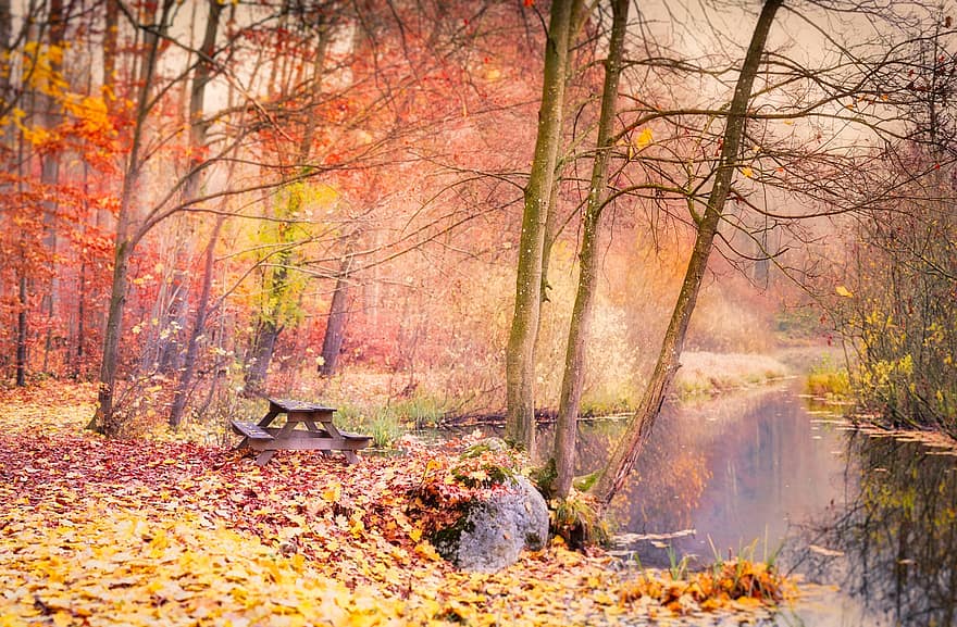 lavice, podzim, podzimní, barvy podzimu, pohádková země, piknik, víla, les, podzimní listí, podzimní les, Podzimní lesní krajina