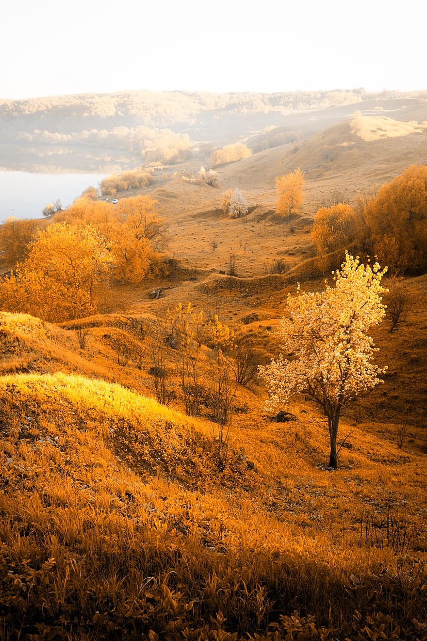 الخريف ، تلال مدحرجه ، مجالات ، ألوان الخريف ، فصل الخريف ، تقع الألوان ، غابة ، طبيعة ، خلفية