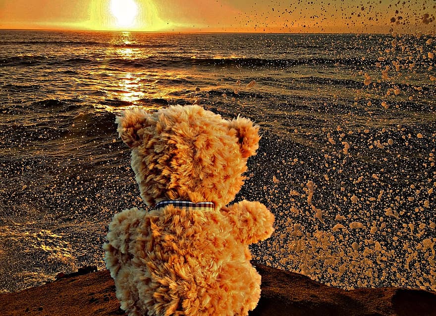 urso Teddy, solitário, por do sol, mar, abandonado, Urso, triste, peluche, brinquedo macio, humor
