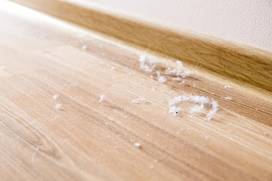 Dust, Floor, Wood, Dirt, Chore, Clean, close-up, backgrounds, plank, table, macro