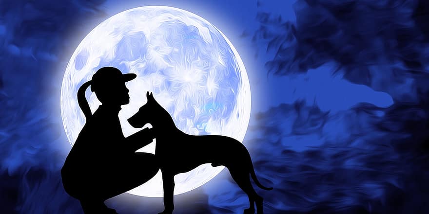 الكلب ، حيوان اليف ، فتاة ، حب ، القمر ، ليل ، سماء ، البدر ، ضوء القمر ، داكن ، الفلك