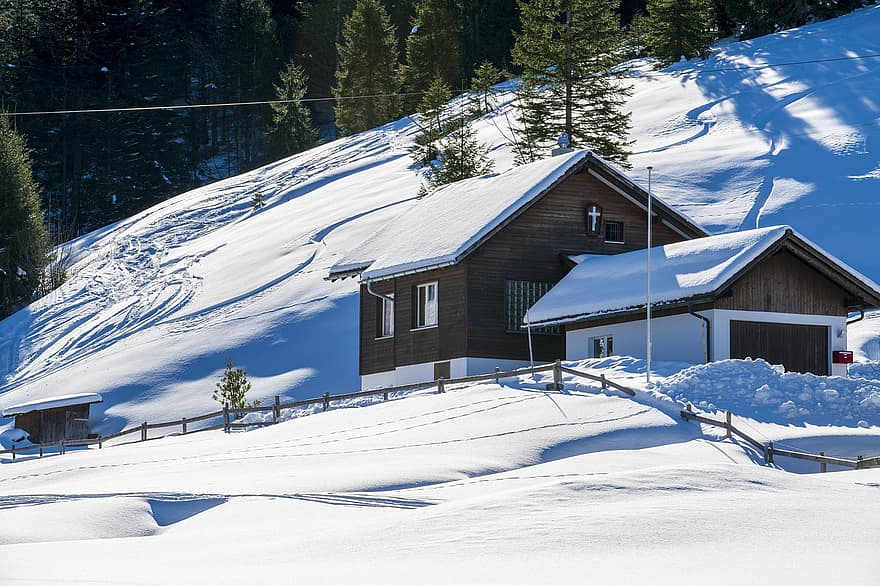 Šveicarija, žiemą, namų, lauke, Brunni Schwyz kantonas, medis, sniegas, dangus, kalnas, kotedžas, kraštovaizdį