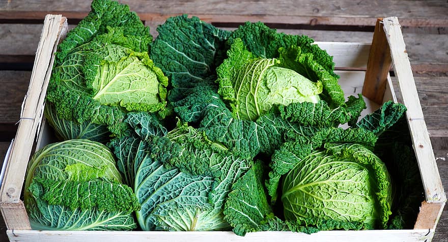 Cabbages, Vegetables, Food, Healthy, Fresh, Green Vegetables, Basket, Produce, Organic, Harvest, Fresh Produce