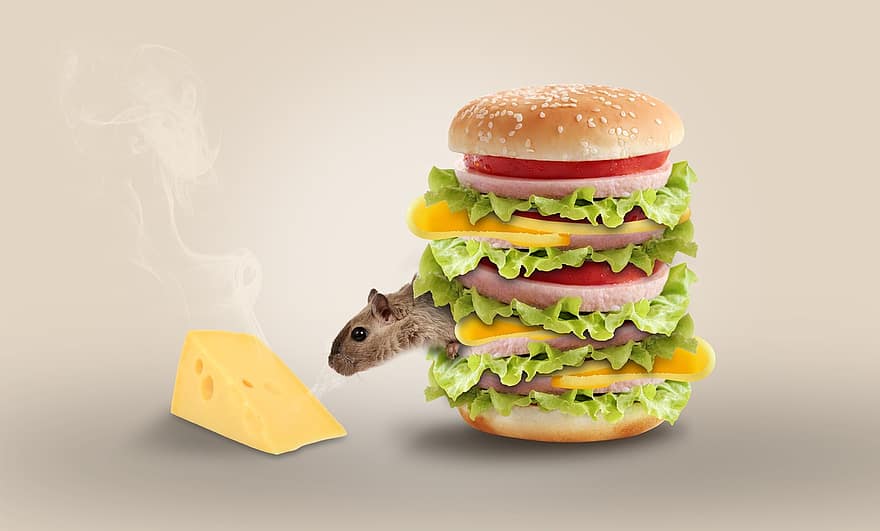 Cheese, Mouse, Hamburger, Funny, Snacks, Nager, Rodent, Food, Nibble, Cheeky, Stink
