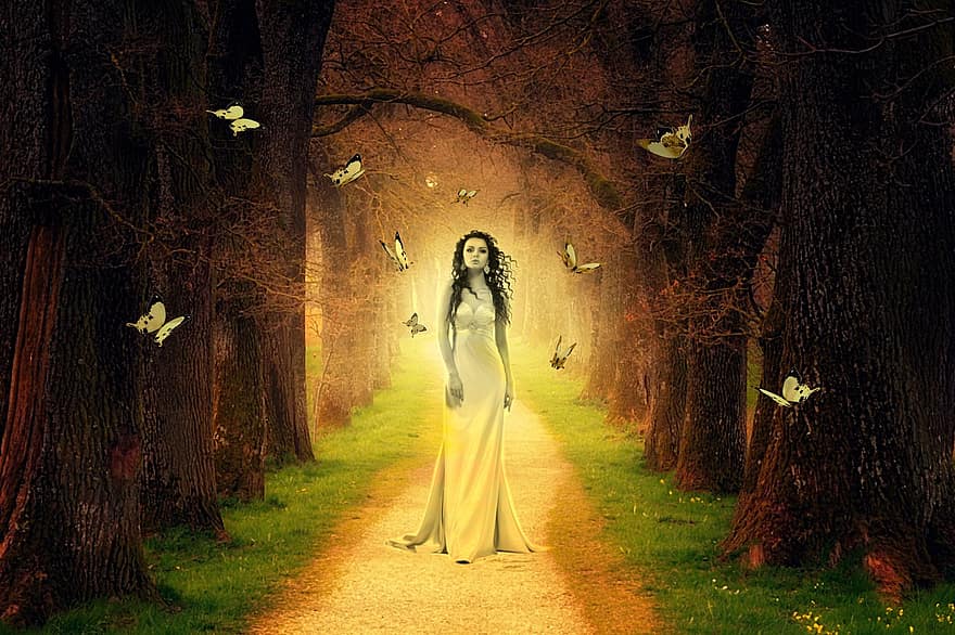Kadın, kız, genç, ışık, iz, peri, sihirli, harf harf kodlamak, kelebek, kelebekler, ağaç