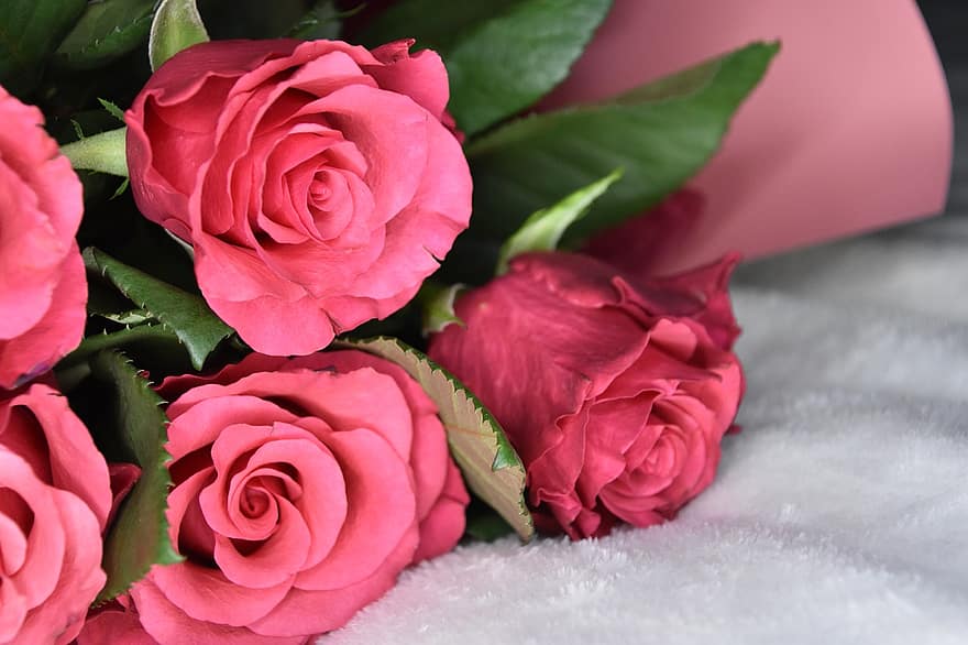 bukiet, róże, kwiaty, różowe róże, różowe kwiaty, miłość, romantyk, kwiat, kwitnąć, piękno, zbliżenie
