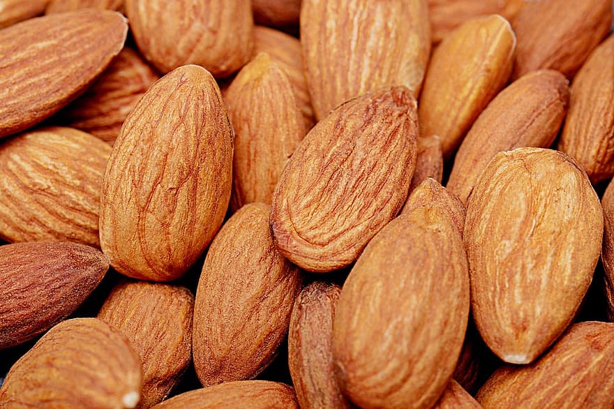 kacang almond, gila, protein