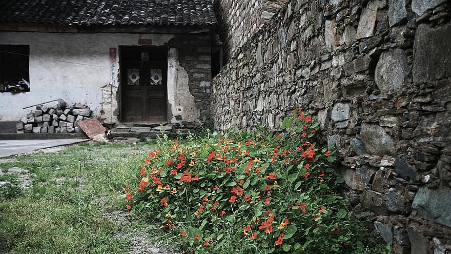 Flowers, House, Dilapidated, Resident, flower, architecture, old, summer, rural scene, building exterior, plant