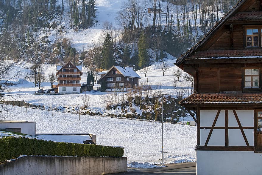 дома, деревня, зима, Дорога, деревья, снег, здания, архитектура, холодно, мороз, Morschach