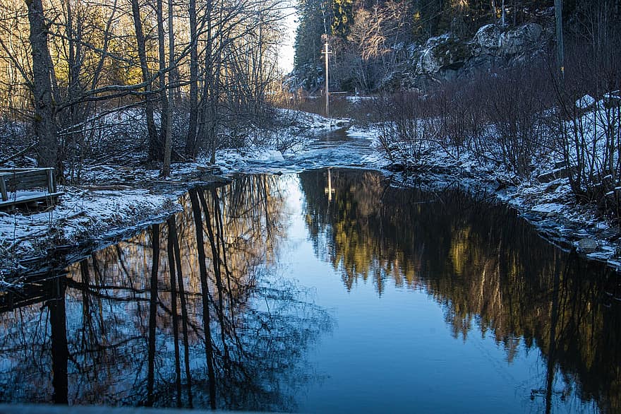 río, arboles, reflexión, congelado, frío, escarcha, nieve, agua, naturaleza, invierno, paisaje