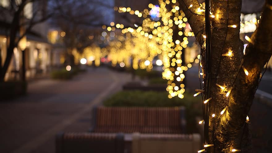 Lights, Evening, Street, Japan, Bokeh, Background, night, defocused, backgrounds, illuminated, tree