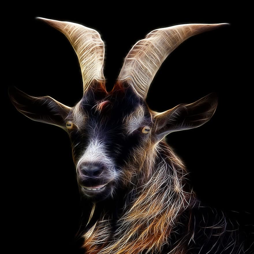 коза, fractalius, снимка на профила, животински свят, животински портрет, животно, фото изкуство, хералдическо животно, козина, рога
