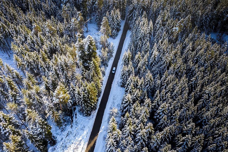 冬、冬の森、通り、車、ドライブ、運転する、旅、道路、家に帰る、車両、森林