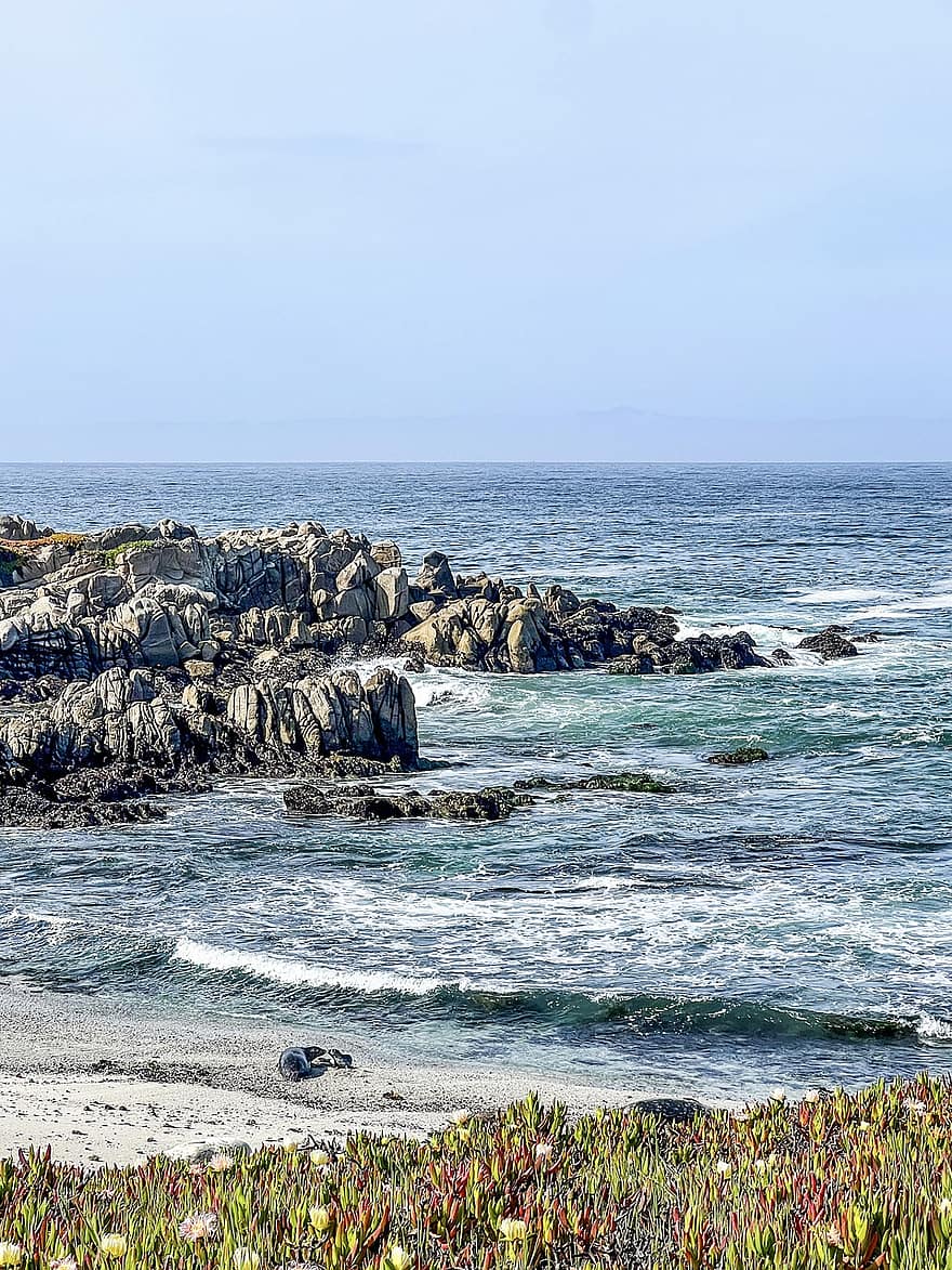 Monterey, Beach, Island, Travel, Nature, Exploration