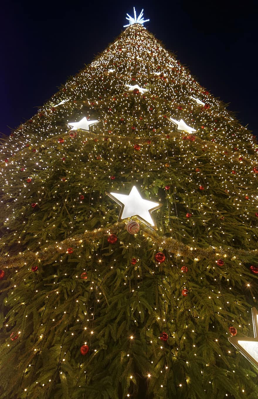 drzewko świąteczne, noc, czas świąt, Boże Narodzenie, Mójsezon świąteczny, Rumunia, oświetlenie świąteczne