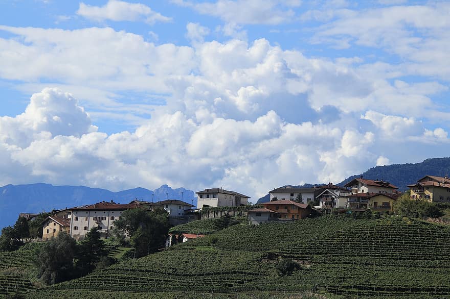 viñedo, pueblo, Italia, vides, plantación, viticultura, paisaje, montañas, campo, cultivo de uva, ladera de la montaña