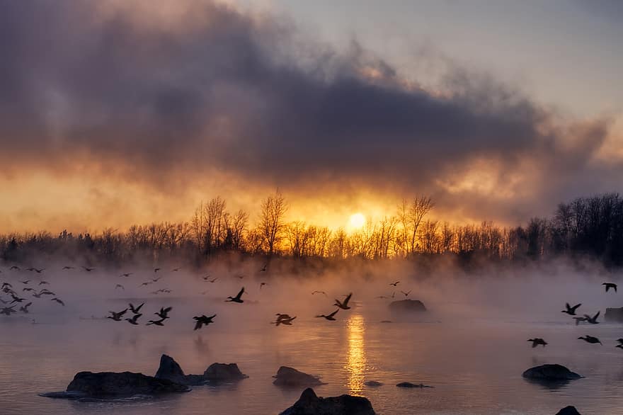ποτάμι, πρωί, ομίχλη, σμήνος πουλιών, πουλιά, παγωνιά, πέτρες, χειμώνας, Σιβηρία, Ρωσία, τοπίο