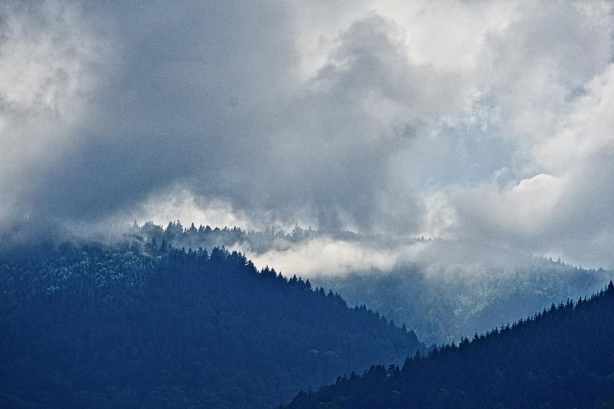 núi, sương mù, những đám mây, hình bóng, bầu trời, Góc nhìn cá nhân, rừng, cây, màu xanh da trời, phong cảnh, đám mây