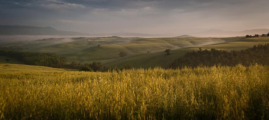 tuscany, bidang, padang rumput, alam, Italia, bukit, kabut, lembah