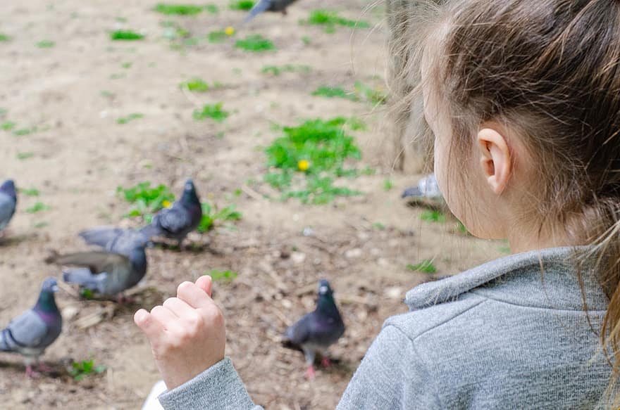 малко момиче, хранене на гълъби, гълъби, природа, животни, птици, хлапе, дете, гълъб, детство, едър план