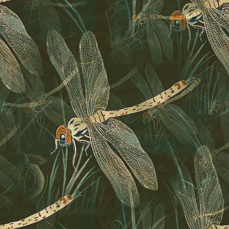 Dragonfly, Wings, Insects, Bugs, Seamless, Pattern, Surface, Textile, Paper, Wallpaper, Vintage