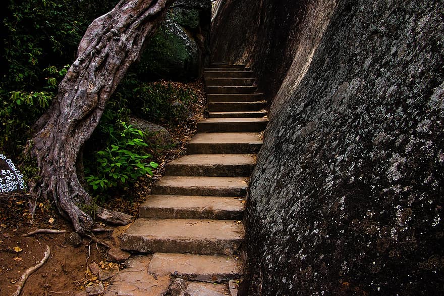 schody, schodiště, les, kroky, cesta, divočina, Příroda, krajina, park, přírodní park, Svatyně Kudumbigala