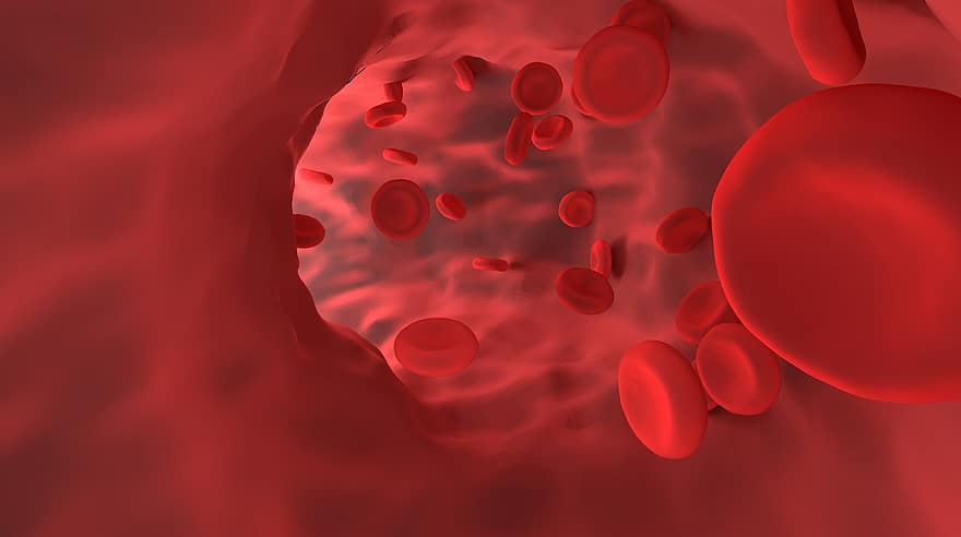 celule roșii din sânge, vas, hemoglobină, cercetare, ştiinţă, experiment, om de stiinta, tub, curgere, micro, laborator