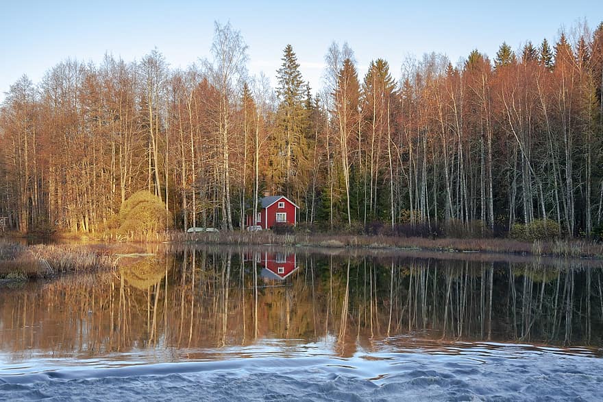 sauna, Sauna Cottage, fiume, Cottage, rapide, autunno, foresta, albero, paesaggio, acqua, scena rurale