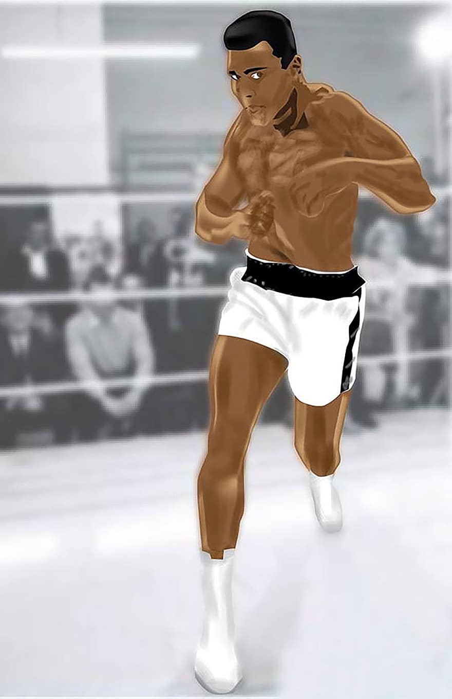 Muhammad Ali, plakát, ilustrátor, photoshop, mužský, sport, boxer, výcvik