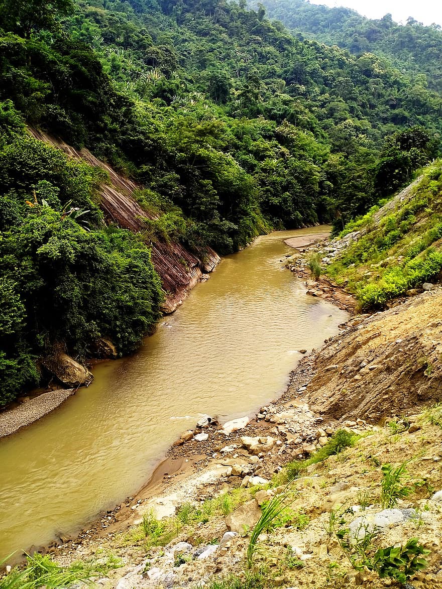 flod, strömma, natur, Nagaland, utomhus, resa, skog, vatten, landskap, grön färg, träd