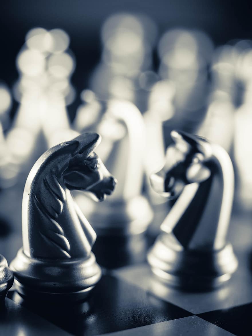 стратегия, шахматы, рыцарь, шахматные фигуры, шахматная доска, настольная игра, соревнование, играть, игра, боевой, крупный план