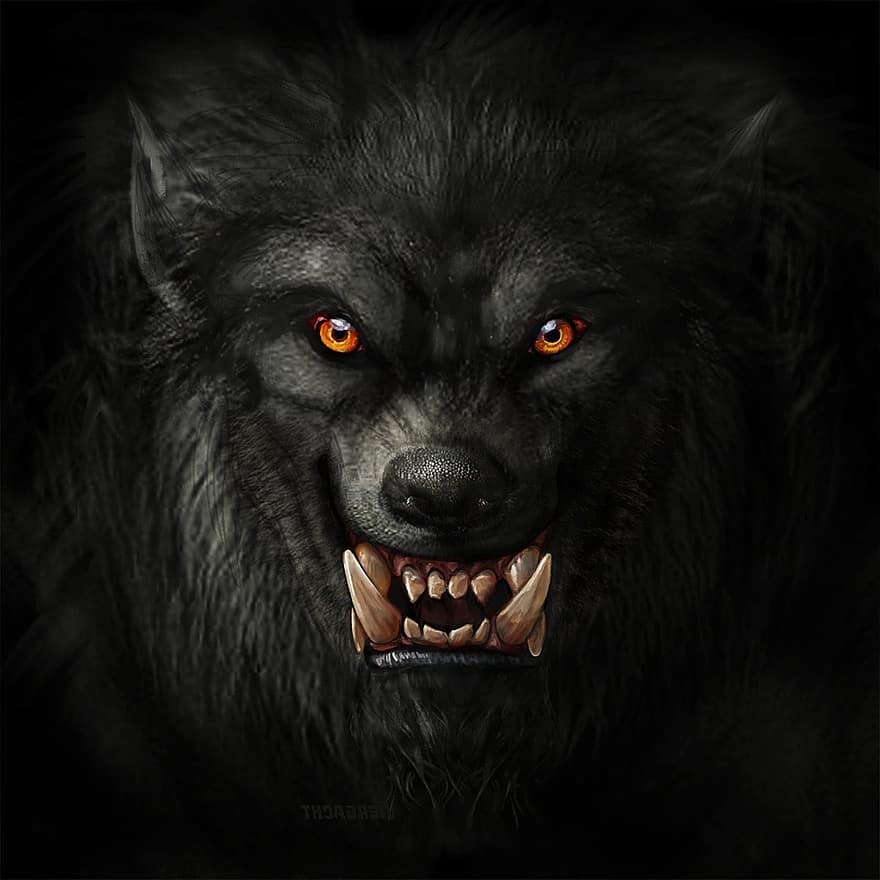 varulv, ulv, uhyre, væsen, dyr, halloween, skræmmende, øjne, hugtænder, rovdyr, lupin