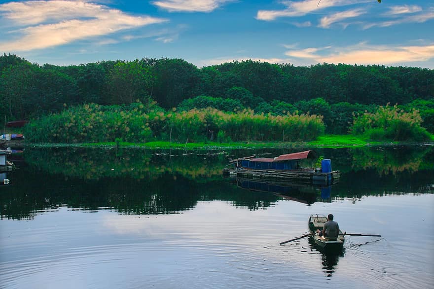 Lake, Boat, Fisherman, Fishing, Rowing, Nature, Water, Reflection, Trees