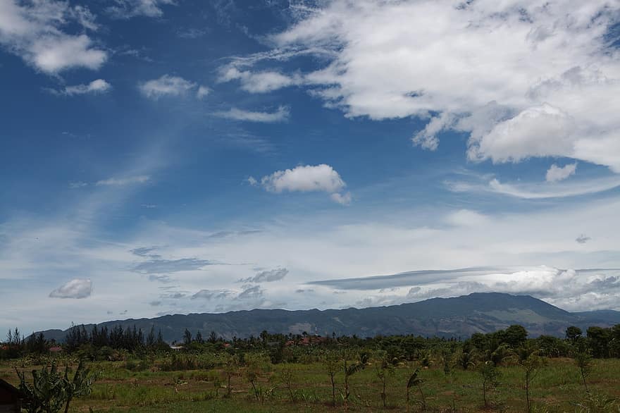 veld-, weide, bomen, bergen, wolken, hemel, natuur, Indonesië