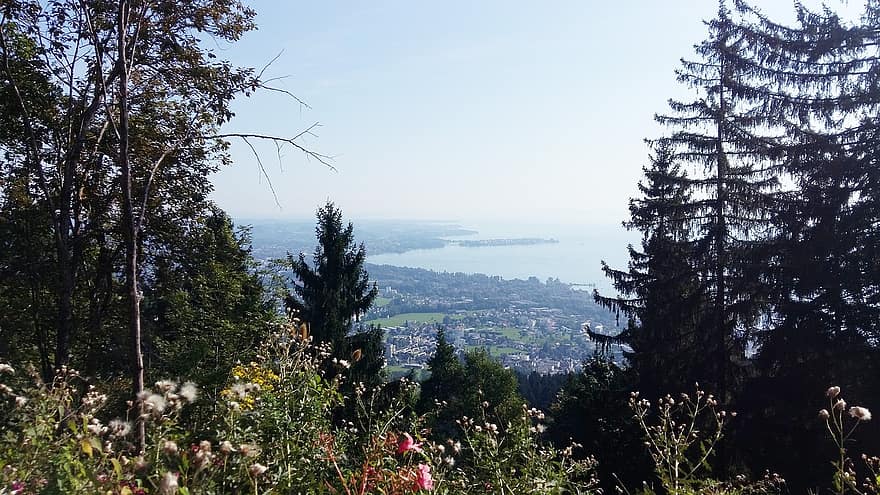 Lacul Constance, Munte, copaci, peisaj, lac, natură, alpin, Lindau