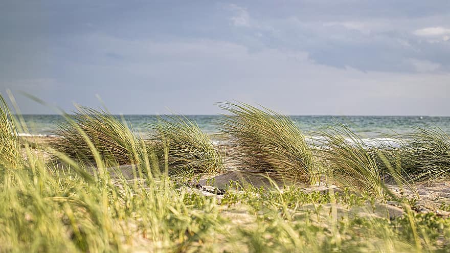 spiaggia, mare Baltico, Fehmarn, natura, costa, mare, paesaggio, isola