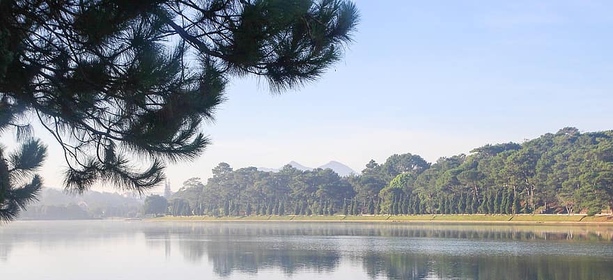 Da Lat, Vietnam, Lake, Asia, Nature, Landscape, Morning, Water, Sunrise, Scenery, tree