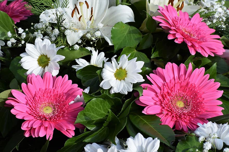 Gerbera, Chrysanthemum, Flowers, Lily, Pink Flowers, White Flowers, Petals, Bloom, Leaves, Plants, Bouquet