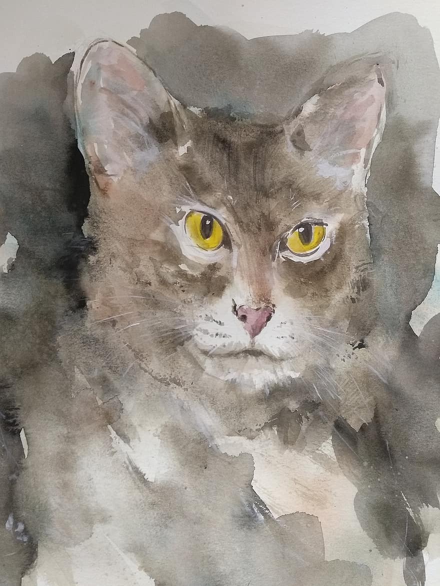 katė, akvarelė, menas, portretas, gyvūnas, mielas, pobūdį, akis, žinduolių