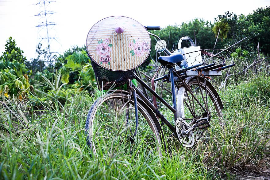 bicikli, kúpos kalap, rét, kerékpár, öntözőkanna, szállítás, kézbesítés, fű