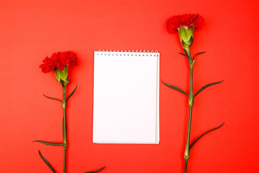 las flores, cuaderno, copia espacio, Bosquejo, maqueta floral, composición floral, plano