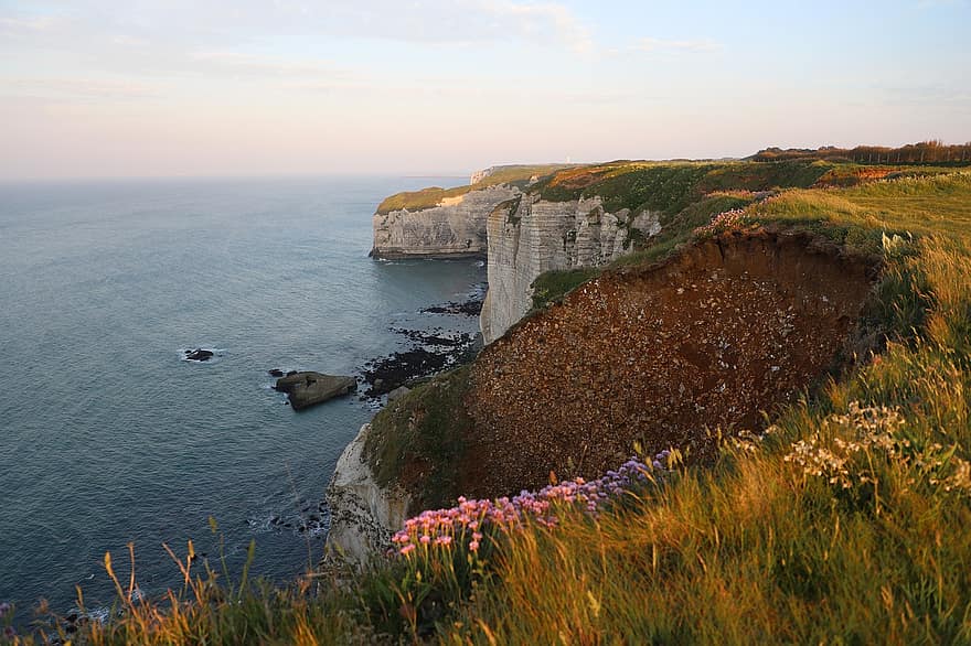 klippe, kyst, hav, blomster, gress, horisont, bølger, kystlinje, natur, Etretat, Normandie
