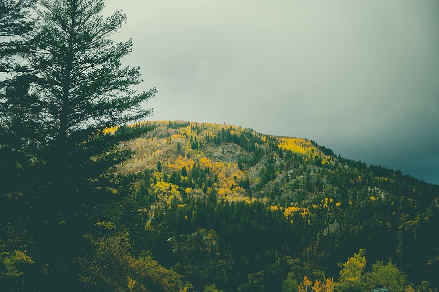 Příroda, podzim, sezóna, venku, cestovat, průzkum, parník pružiny, colorado, krajina, hory, stromy
