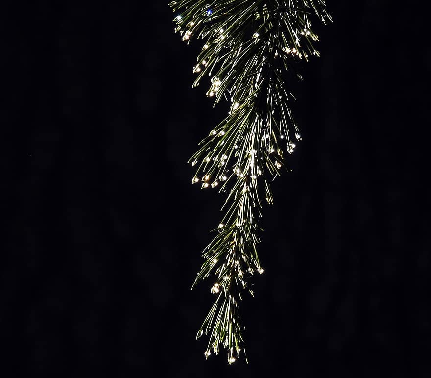 Winter, Fir, Water, Contrast, close-up, backgrounds, abstract, shiny, macro, defocused, night